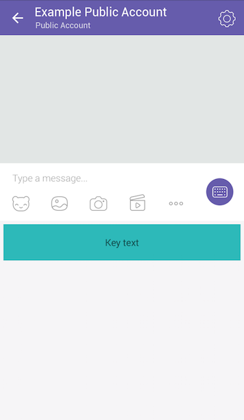 Cant type messages on viber comunity public chat